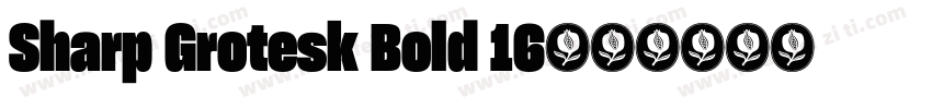 Sharp Grotesk Bold 16字体转换